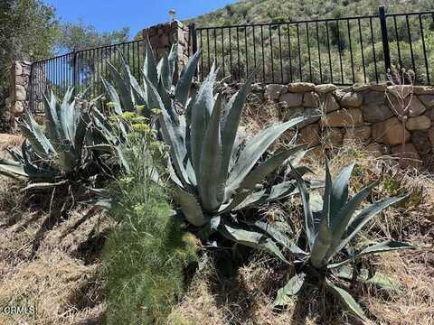 Maricopa, OJAI, CA 93023