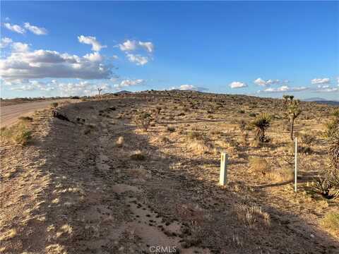 Ocotillo, Apple Valley, CA 92308