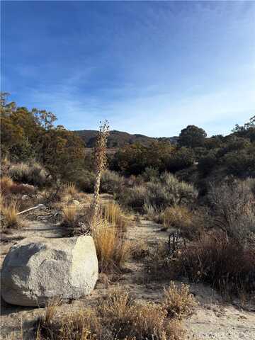 Upper Valley Rd, Anza, CA 92539