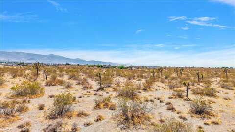 Duncan, Phelan, CA 92371