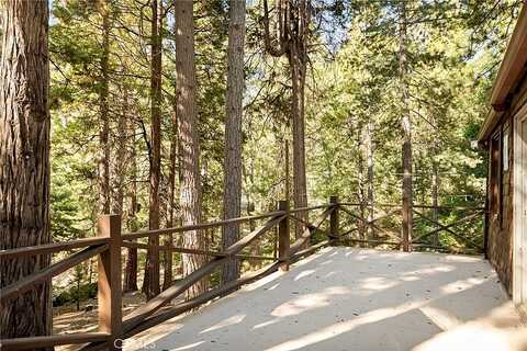 Little Bear, BLUE JAY, CA 92317