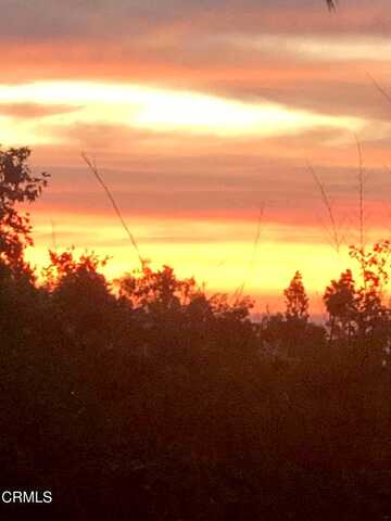 Holliston, ALTADENA, CA 91001