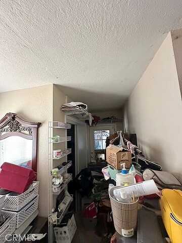 Hibiscus, HIGHLAND, CA 92346