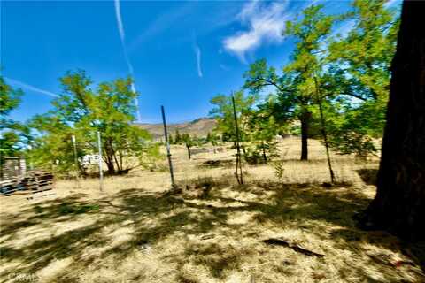 Hawkinsville Humbug, YREKA, CA 96097