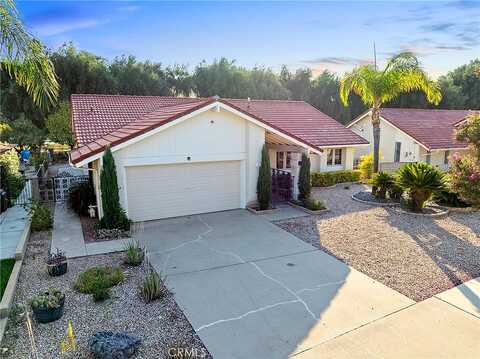 Lemon Gum, HEMET, CA 92545