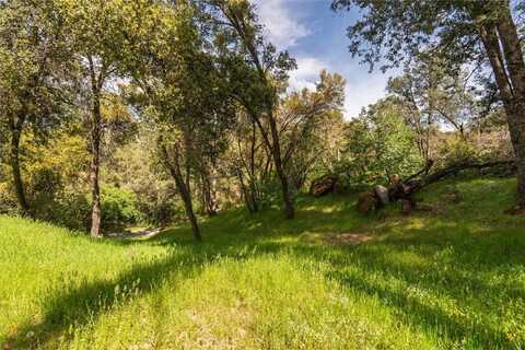 Critter Creek, OAKHURST, CA 93644