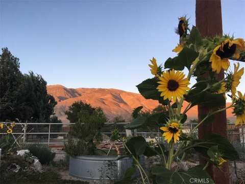 Mountain View, BISHOP, CA 93514