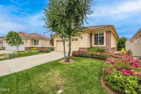 Dalea, BEAUMONT, CA 92223