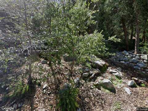 Prospect, FOREST FALLS, CA 92339