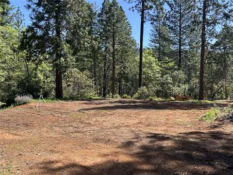 Forbestown, OROVILLE, CA 95966