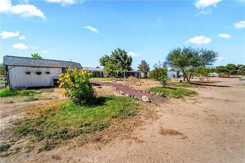 Armadilla, NEWBERRY SPRINGS, CA 92365
