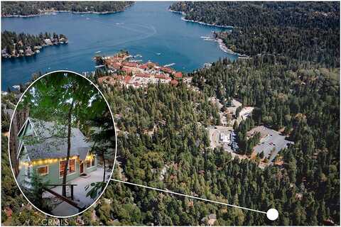 Dolly Varden, LAKE ARROWHEAD, CA 92352