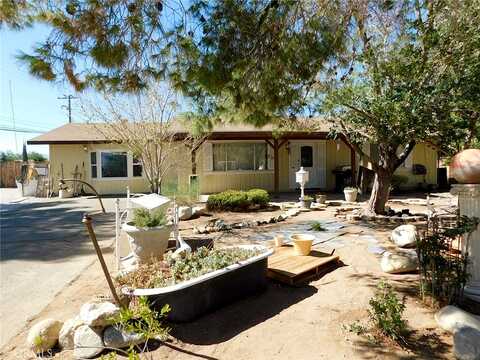 Cashew, HESPERIA, CA 92345