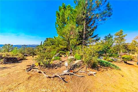 Creek, COARSEGOLD, CA 93614