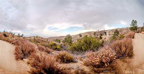 Avenue D15, LANCASTER, CA 93536
