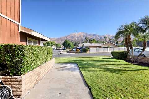 Orchid, HIGHLAND, CA 92346