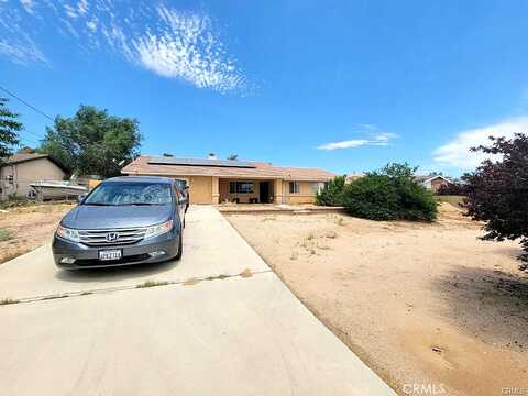 Cholla, HESPERIA, CA 92345