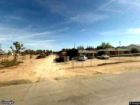 Condalia, YUCCA VALLEY, CA 92284