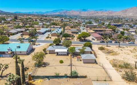 Condalia, YUCCA VALLEY, CA 92284