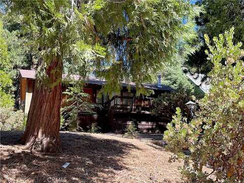 Lake, ANGELUS OAKS, CA 92305
