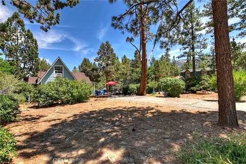 Cedar, SUGARLOAF, CA 92386