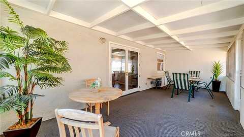 Petunia, GLENDORA, CA 91740