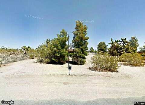 Sunflower, YUCCA VALLEY, CA 92284