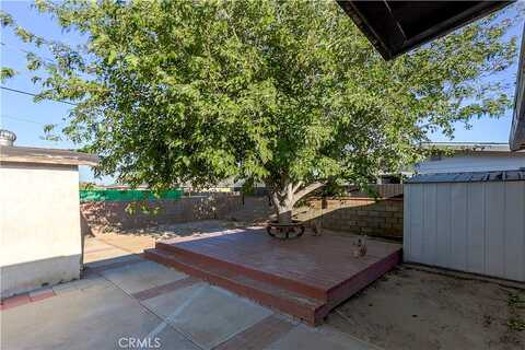 Fig, LANCASTER, CA 93534
