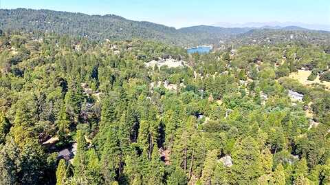 Boa, CRESTLINE, CA 92325