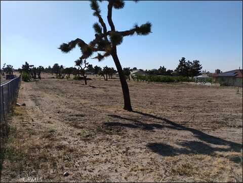 Amador, PHELAN, CA 92371