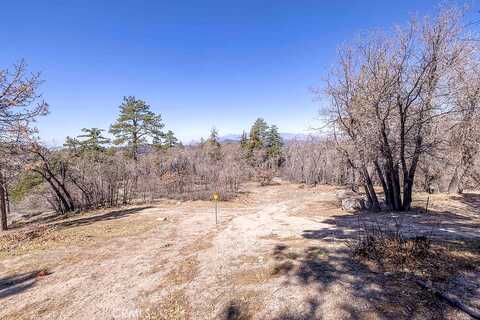 Canyon, GREEN VALLEY LAKE, CA 92341