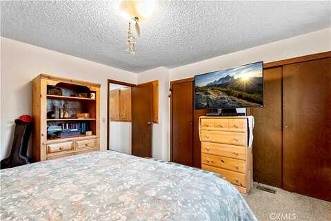 Robin, WRIGHTWOOD, CA 92397