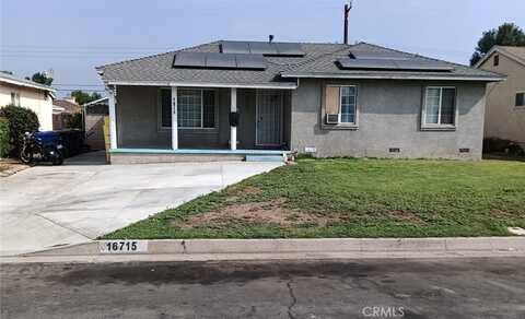 Masline, COVINA, CA 91722