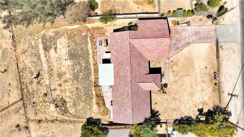 Buckthorn, HESPERIA, CA 92345