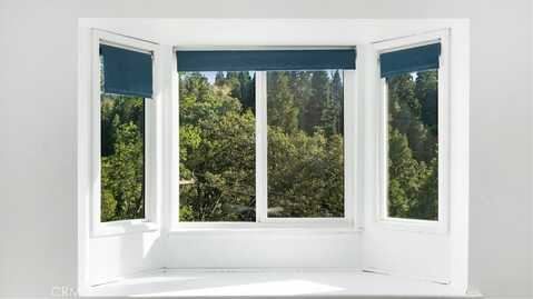 Pine, CEDAR GLEN, CA 92321
