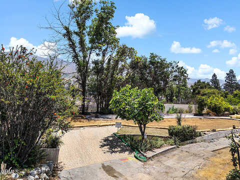 Marigold, ALTADENA, CA 91001