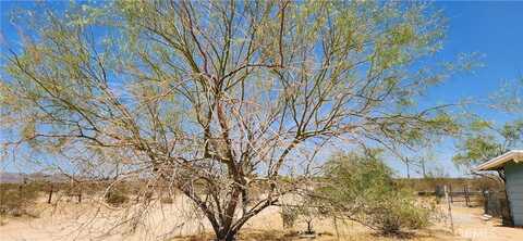Kickapoo, LANDERS, CA 92285