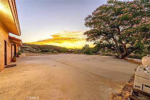 Kiptree, LAKE HUGHES, CA 93532