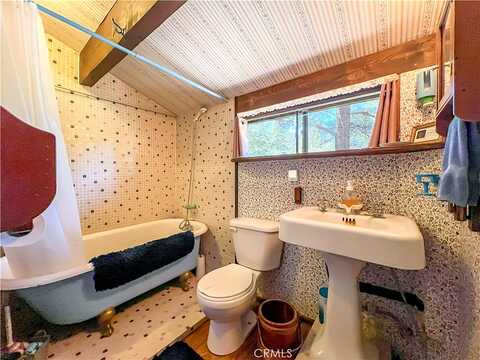 Freeman, PINE MOUNTAIN CLUB, CA 93222