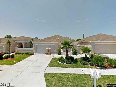Royal Palm, SPRING HILL, FL 34608