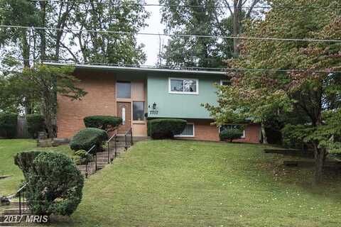 Glenister, SPRINGFIELD, VA 22152