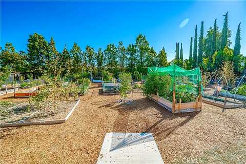 Propello, SANTA CLARITA, CA 91350