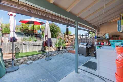 Olive, PASO ROBLES, CA 93446