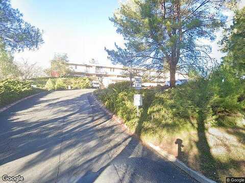 Olive, PASO ROBLES, CA 93446