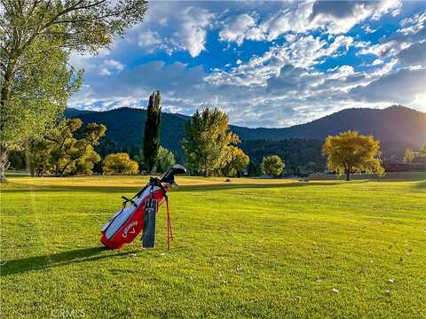 Birchwood, PINE MOUNTAIN CLUB, CA 93222