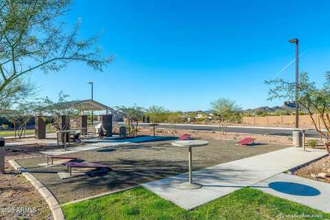 Soloman, GOLD CANYON, AZ 85118