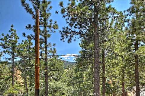 Balsam, BIG BEAR LAKE, CA 92315