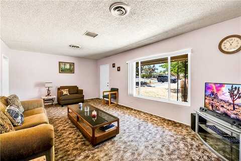 Joshua, YUCCA VALLEY, CA 92284