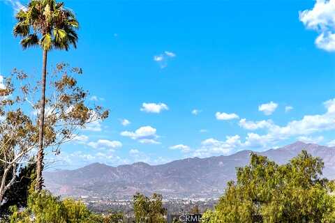 Caminito Lazaro, Laguna Hills, CA 92653