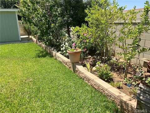 Bearberry, MORENO VALLEY, CA 92553